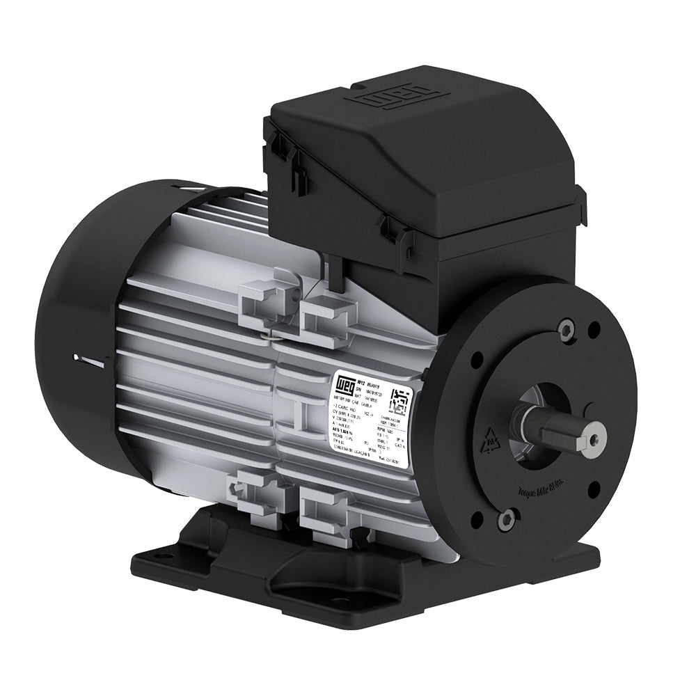 Motor Eléctrico Corriente Alterna - Trifásicos W12 - 220/380V