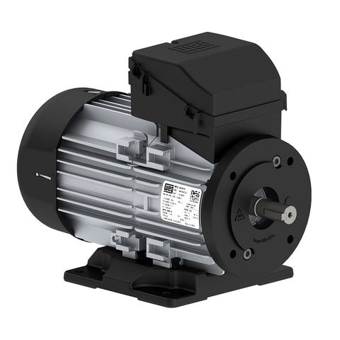 Motor Eléctrico Corriente Alterna - Trifásicos W12 - 220/380V