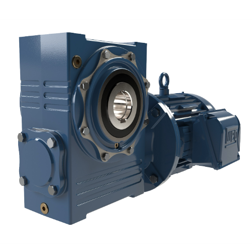 Motorreductor WEG Corona y Sinfín — Serie WCR (WCR100, WCR119)